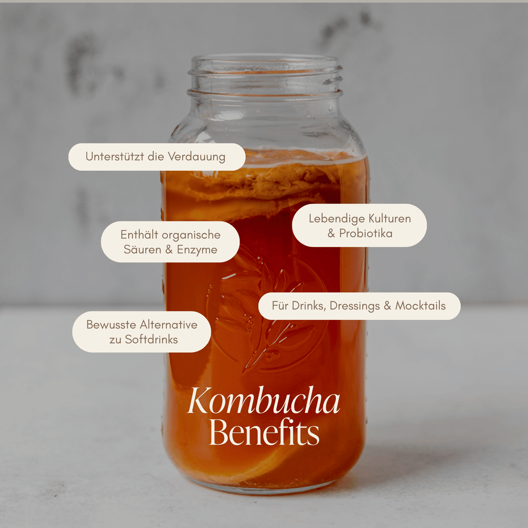 kombucha aufbewahren Kombucha Set