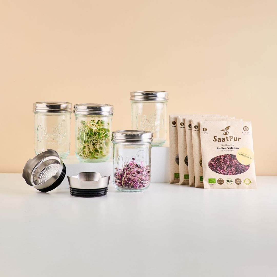Sprossen Starter Set  Lieblingsglas