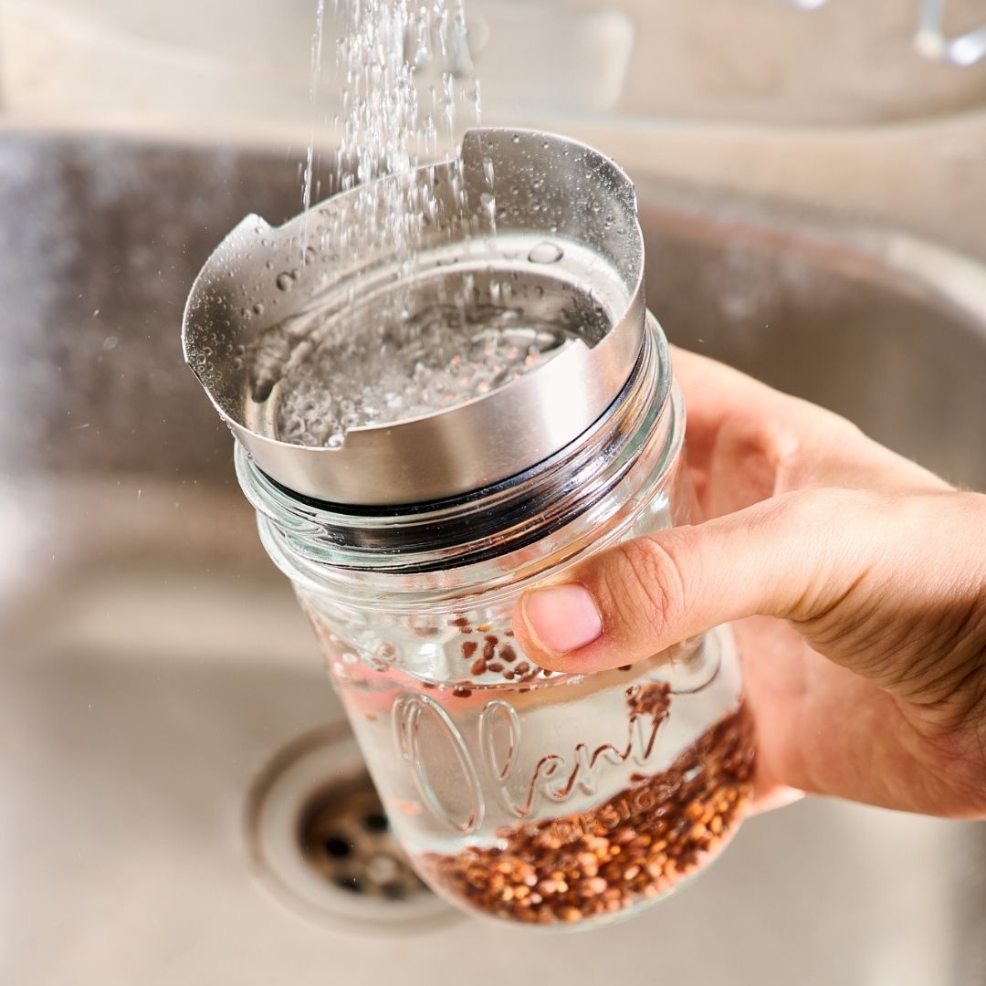 Bio-Keimsprossen mit Keimdeckel im Lieblingsglas ziehen -